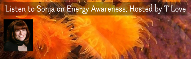 energy awareness radio show