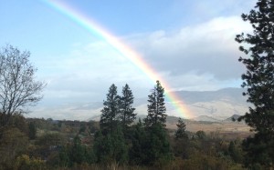 Oregon Rainbow